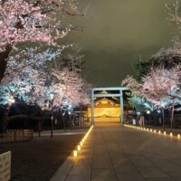桃瀬　らら