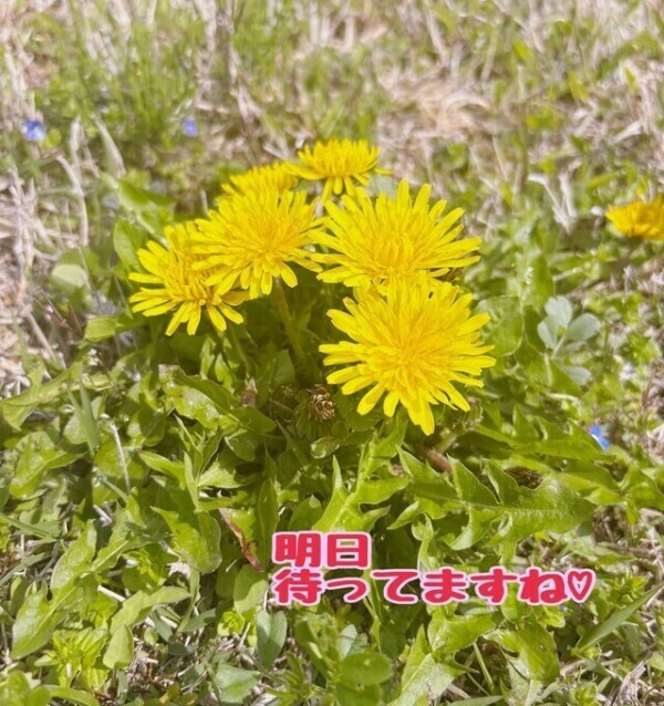 もう決めた？💛