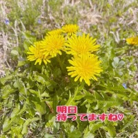 もう決めた？💛