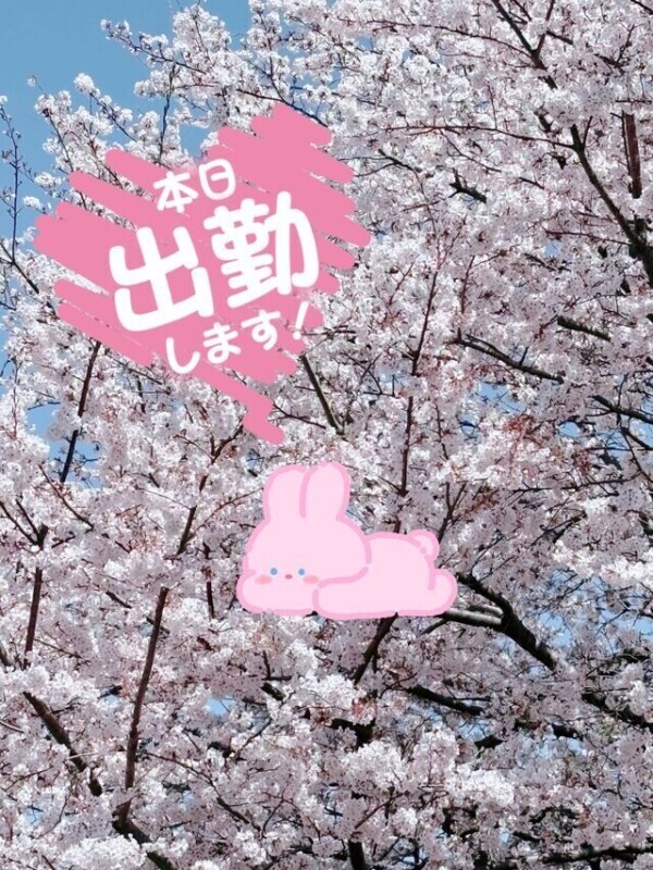 本日も元気に出勤❕❕