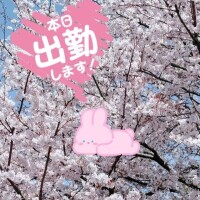 本日も元気に出勤❕❕