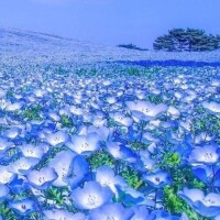 天堂　りさ