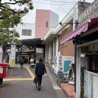 今日は