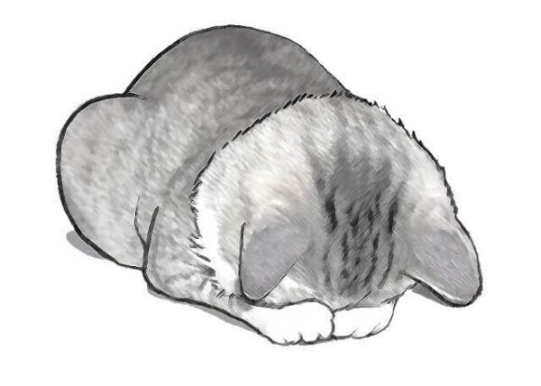一応…お休みです🙇‍♀️
