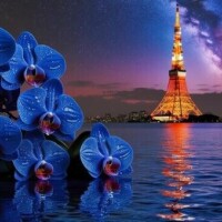 天堂　りさ