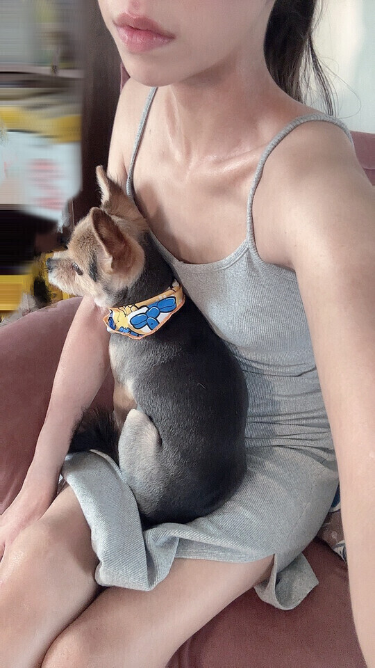 おはよう🐶🐾🐶