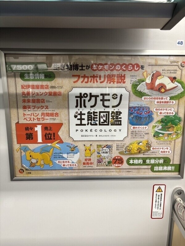 この中に