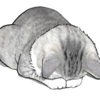 おやすみです🙇‍♀️