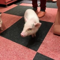 お休みしました