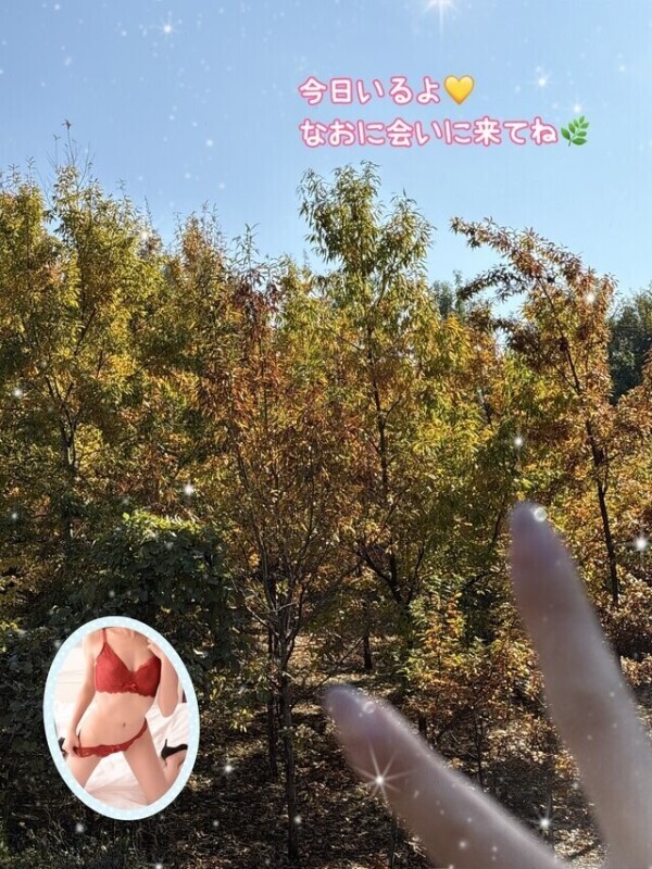 募集してます💛