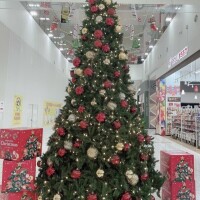 特別なお知らせ😝🧡