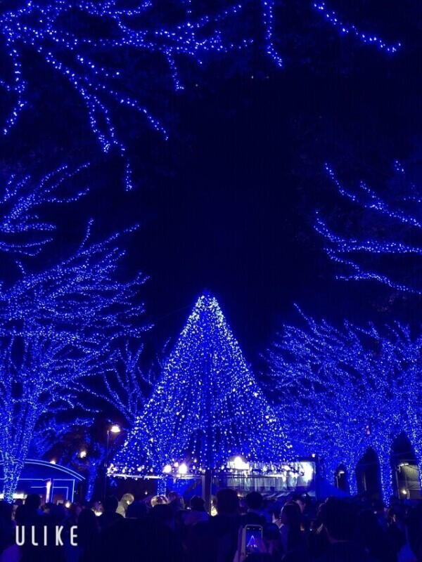 特別なお知らせ🧡