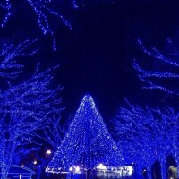 特別なお知らせ🧡