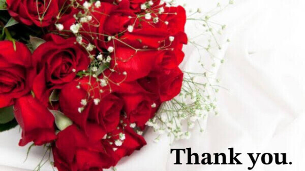 🌹本日完売しました🌹