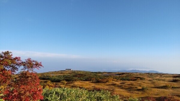 日曜日のお礼♡＋ 金曜日はおにゃのこDayによりお休みです