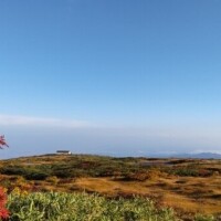 日曜日のお礼♡＋ 金曜日はおにゃのこDayによりお休みです