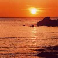 ♡🎍𝙷𝙰𝙿𝙿𝚈 𝙽𝙴𝚆 𝚈𝙴𝙰𝚁🎍♡