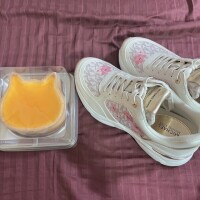 本郷しおん【OL委員会】