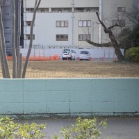 上野なな【OL委員会】