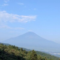 みんと