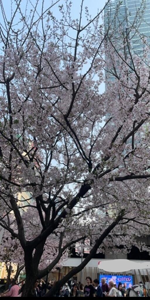 春よこい〜