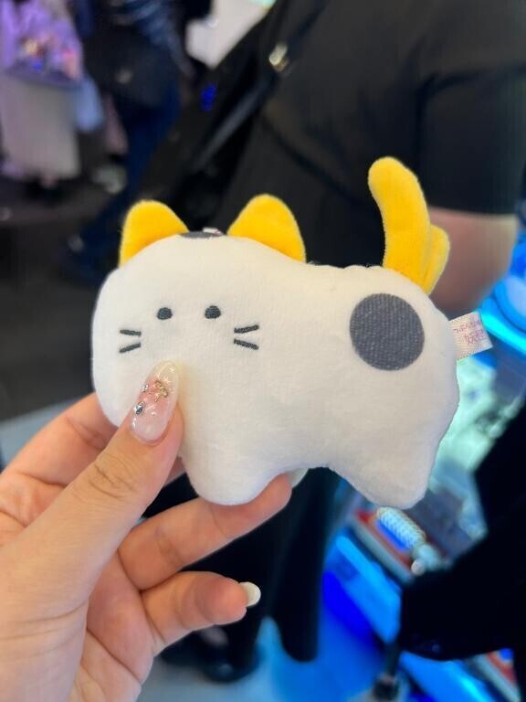 ねこ？