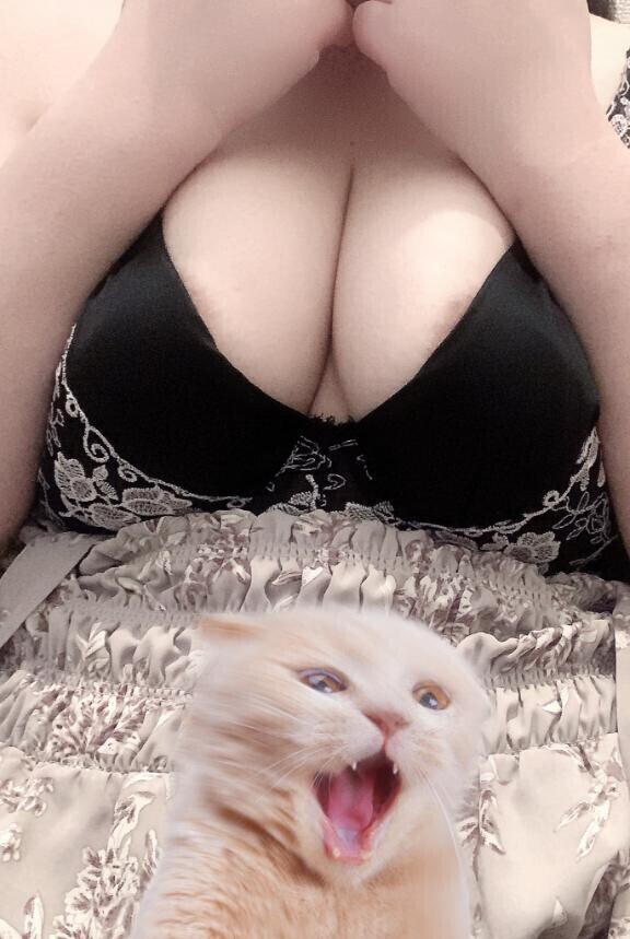 残り3回3️⃣