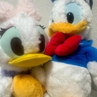 みわ