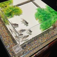 れむ
