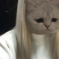 れむ