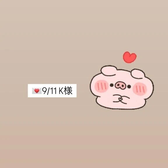 💌9/11✨APIO✨K様✨