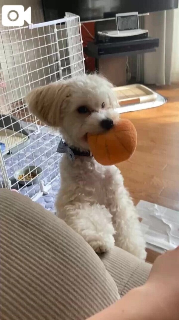 休日満喫︎︎︎︎❤︎