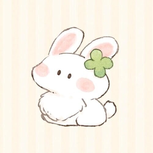 🎀次の出勤予定🎀