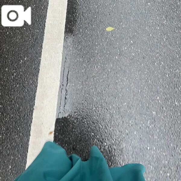 🍒【動画】今日も☔️