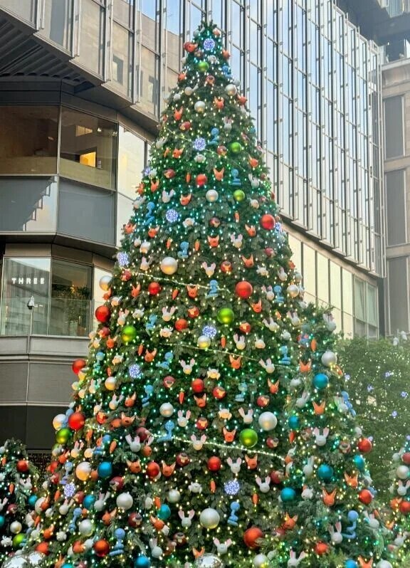 もうちょっとでクリスマス🌲✨