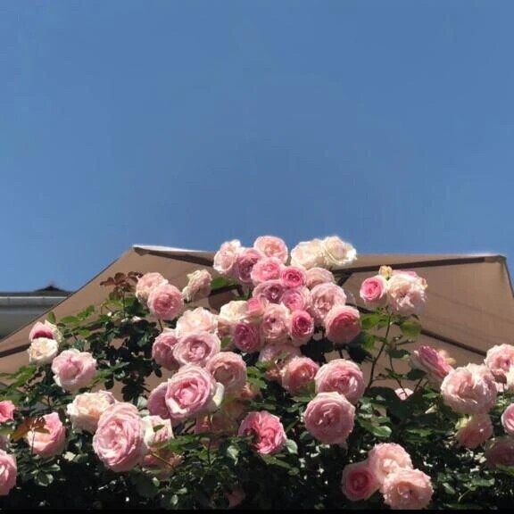 本日の出勤について