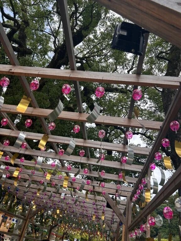 次回予定🍀*゜