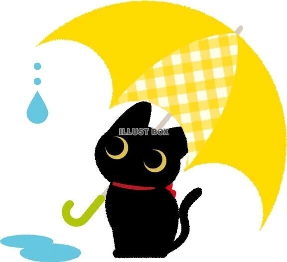 りさ❤️本日の御礼╰(*´︶`*)╯♡