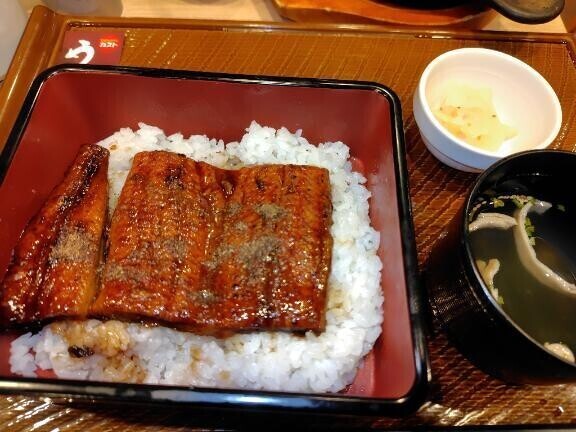 今日はもう終わり〜(*´▽｀*)ﾉ))
