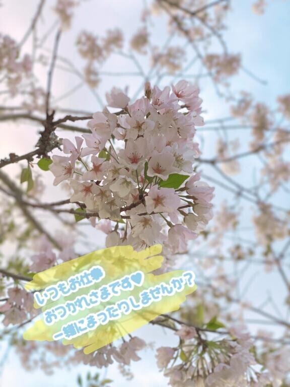 いつも