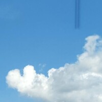 体験りさ