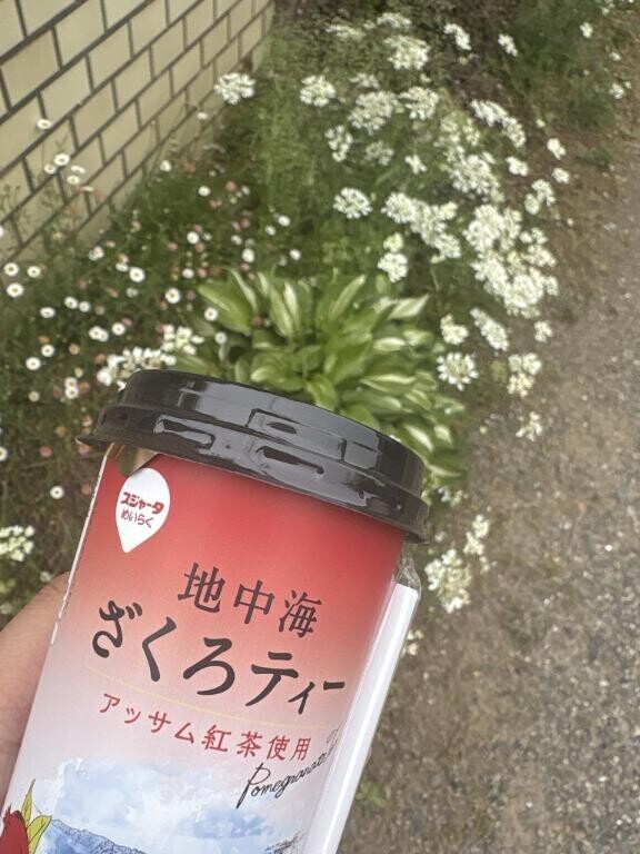 ありがとうございました