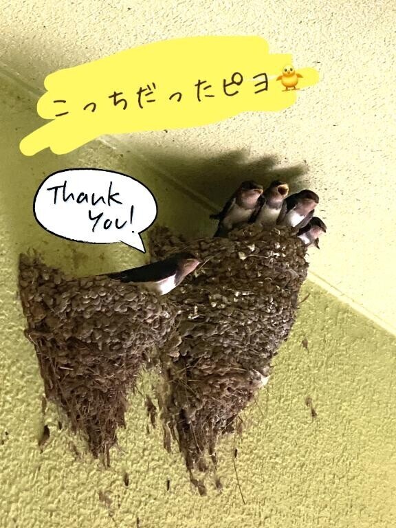 ごめんなさい！