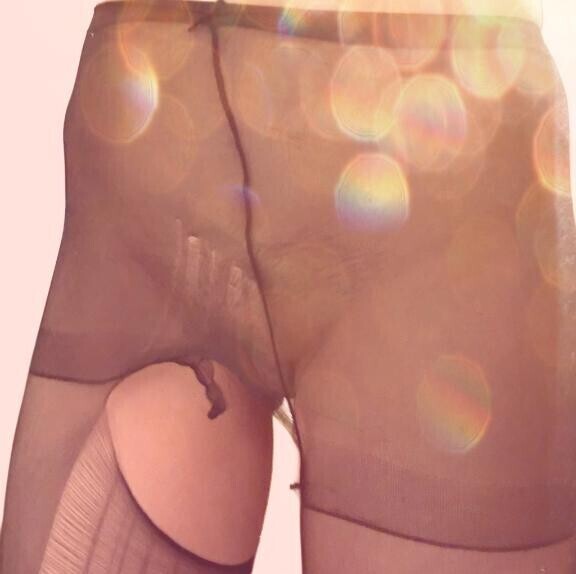 パンストいかがですか？