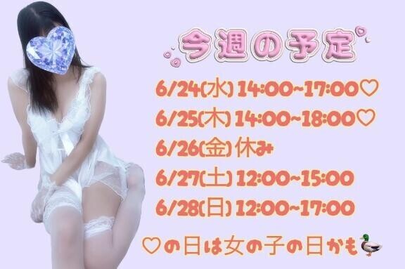 こんしゅの予定