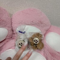 すいせい