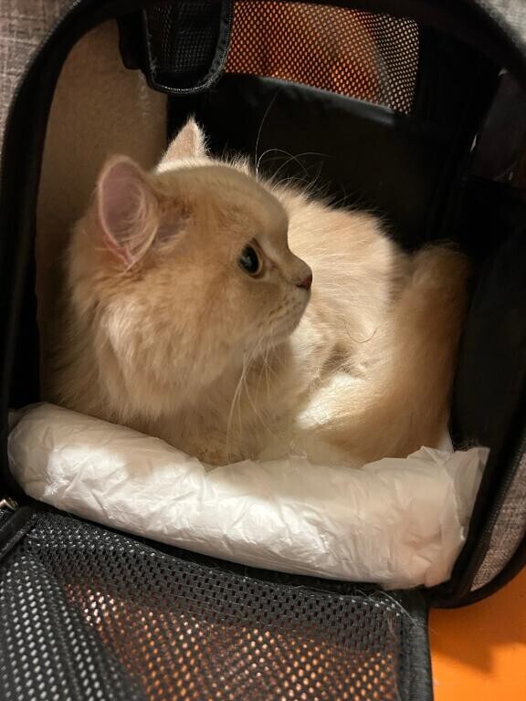教えてね??