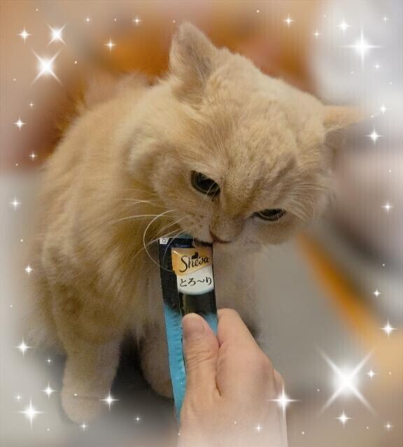 ことり店長??