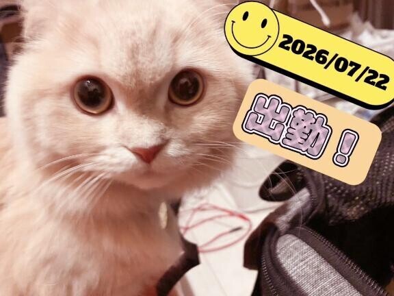 出勤ですよん