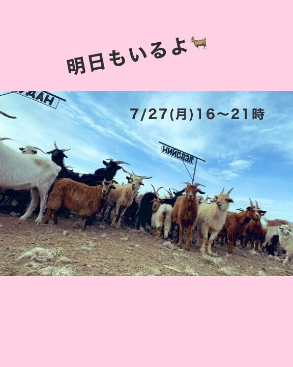 明日もいるよ??